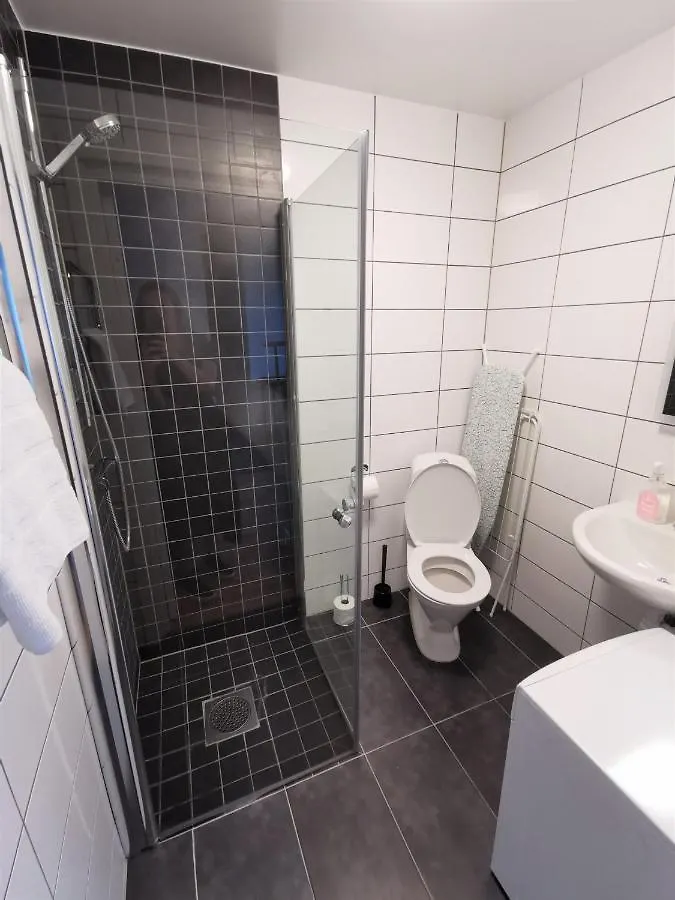 1 Room Apartment Centrally Located In Malmo - Skvadronsgatan 29
