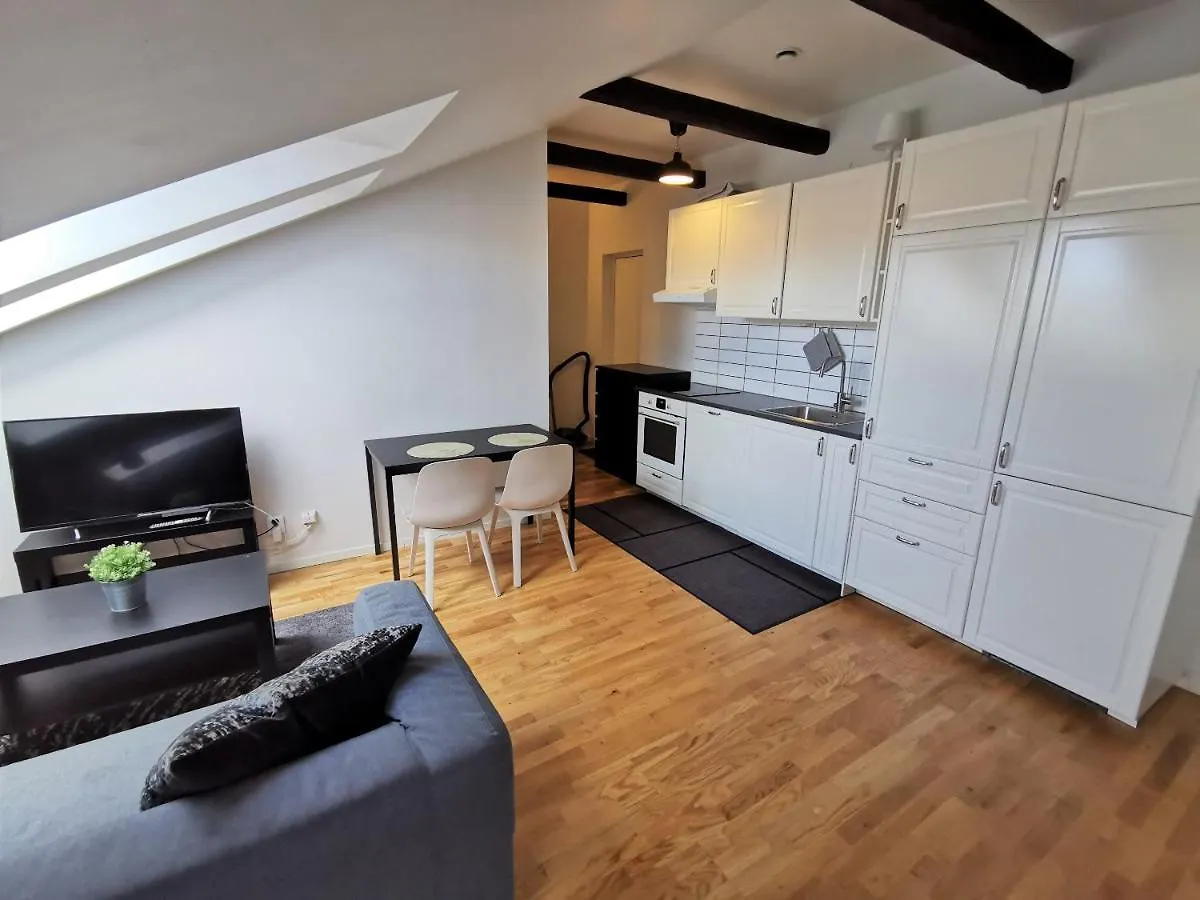 1 Room Apartment Centrally Located In Malmo - Skvadronsgatan 29